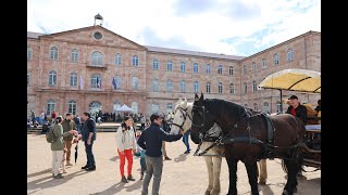 Ferme à la Ville 2024 à Caluire et Cuire [upl. by Lydia626]