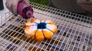 How to Tie Dye a TShirt DIY Project [upl. by Bricker538]