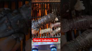 Giant Lobster Tail Grilling [upl. by Feirahs]