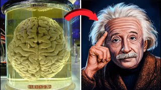 What Made Einsteins Brain Unique Ethan Epics [upl. by Bora]