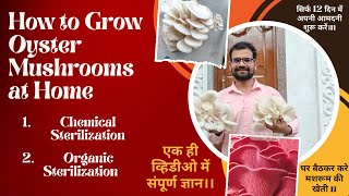 How to Grow Oyster Mushrooms at Home  Team GBS [upl. by Akahs]