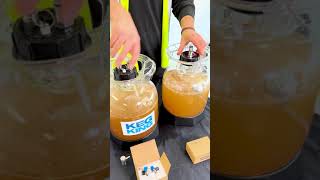 How to make alcoholic ginger beer [upl. by Josefina]