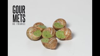 Testsproduits Gourmets de France novembre 2023 Bourgogne escargots  Gastronomie et dégustation [upl. by Corso]