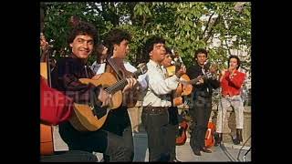 The Gypsy Kings • “Djobi DjobaBamboleo” • 1988 Reelin In The Years Archive [upl. by Eneleahs]