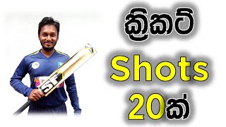 How to Play Cricket Shots  Fielding JayA [upl. by Rainwater]