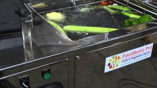 Ozone washer amp Sonic Cleaning of Fruits amp Vegetables [upl. by Elnora]