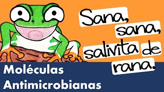 Lisozima Defensinas Proteínas de Unión al Hierro  Moléculas Antimicrobianas [upl. by Llenor]