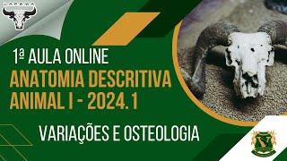 1ª Live de Anatomia Descritiva I 2024 Variações e Osteologia [upl. by Ameyn]