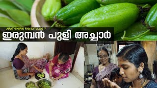 ഇരുമ്പൻ പുളി അച്ചാർ VLOG 7 Irumban Puli Achar Bilimbi Achar Pulinchikka Achar [upl. by Arbed]