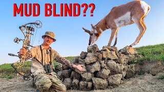 HUNTING PRONGHORN from a MUD BLIND [upl. by Roi]