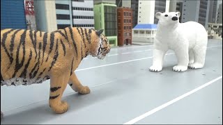 Tiger vs Polar Bear [upl. by Laitselec40]