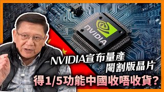 NVIDIA宣布量產「閹割版晶片」股價大升！得15功能中國會否收貨？美國將加碼打壓中國半導體成熟製程！《蕭若元：蕭氏新聞台》20240109 [upl. by Yggep]