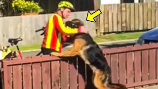 Mailman Approaches German Shepherd Then The Owner Secretly Records Him Doing THIS To The Dog [upl. by Ume]