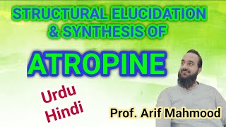 ATROPINE  Structural Elucidation and Biosynthesis of Atropine English Hyoscyamine [upl. by Nnylatsirk]