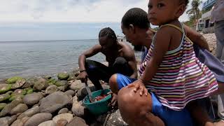 Dominica Spear Fishing [upl. by Naleag]