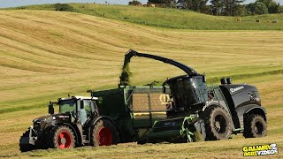 Hillcrest Farming  Silage 2023  Black Krone Big X 1180 [upl. by Venterea]