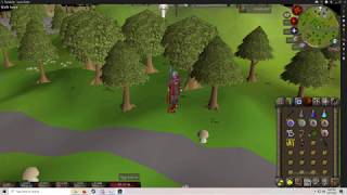 Seers VillageTaverley Forest Ambience  OSRS ASMR [upl. by Inman]