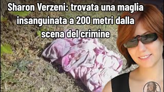 Sharon Verzeni trovata una maglia insanguinata a 200 metri dalla scena del crimine [upl. by Nikola439]