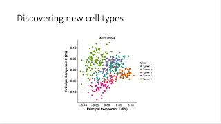 Rafael Irizarry Probabilistic Gene Expression Signatures for Single Cell RNA seq Data [upl. by Ellehcam]