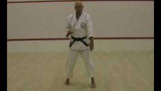 Seishan Kata Bunkai example  Sensei Mick Bayliss [upl. by Aneem20]