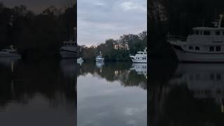 Day on the TennesseTombigbee waterway greatloop trawler yacht [upl. by Calv]