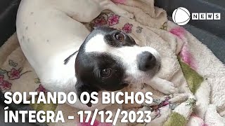 Soltando os Bichos  17122023 [upl. by Alorac]