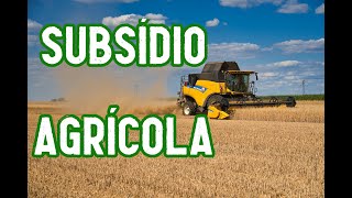 SUBSÍDIOS AGRÍCOLAS O QUE SÃO  EF07GE06 [upl. by Ynattyrb]