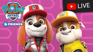 Paw Patrol Haunted House  बच्चों के लिए टॉय लर्निंग वीडियो [upl. by Nerhe46]