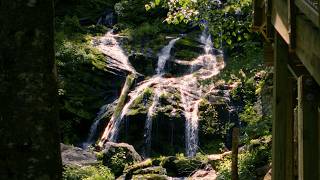 Hike  Catawba Falls Trailhead [upl. by Adihaj307]