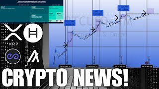 Another Bull Run🎯 XRP PEAQ HBAR ALGO 📢✔ CRYPTO NEWS [upl. by Ielirol]