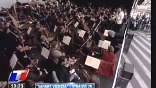 Münchner Philharmoniker  Wiener Blut [upl. by Gargan422]