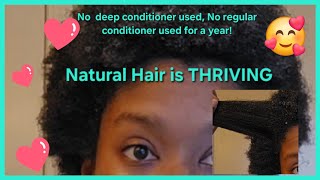 Only using a leavein conditioner for a year No deepregular conditioner hair haircare natural [upl. by Gnod]