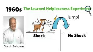 Seligmans Learned Helplessness Experiment Understanding Despair and Resilience [upl. by Hachman]