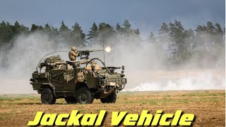 The Jackal vehicle a tactical vehicle used mainly for light reconnaissance [upl. by Daniela]