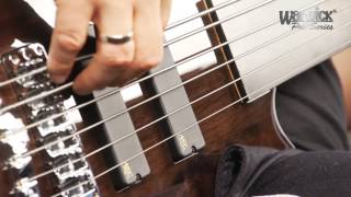 The Pro Series Streamer LX 6String Fretless  with Andy Irvine [upl. by Gerrit514]