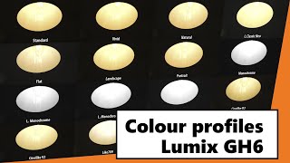 Color Profiles Comparison Panasonic Lumix GH6 incl VLog and Cinelike [upl. by Blackington697]