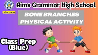 Get Moving Fun Physical Game Activities for Kids  Aims Grammar High School [upl. by Tilford35]