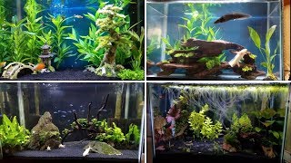 Creating FLOW In Your Aquarium With Powerheads  Mega Matrix 120 [upl. by Aile882]