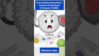 Système Immunitaire  Comment il Fonctionne et Pourquoi il Faiblit science bienêtre sante shots [upl. by Asiled383]