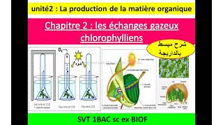 les échanges gazeux chlorophylliens svt 1bac sc ex option français شرح بالداريجة [upl. by Sjoberg]