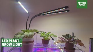 LED plant grow light [upl. by Lered]