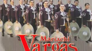 MARIACHI VARGAS DE TECALITLÁN  MOTIVOS [upl. by Yusem]