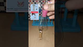 Activity 44 Class 8 Chapter 4  Reaction of Non Metals with Oxygen shorts [upl. by Parsaye]