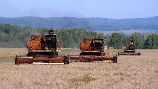 Combines DON1500A and 1500B  Комбайны ДОН1500А и 1500Б [upl. by Ticknor825]