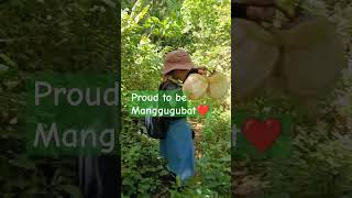 ManggugubatFieldworkForester fypシ゚viral forest bohol fieldwork [upl. by Glorianna]