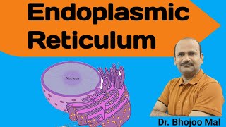 Endoplasmic reticulum Class 11 Biology  by Dr Bhojoo Mal [upl. by Shirleen]