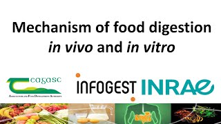 2nd INFOGEST webinar Overview of gastrointestinal food digestion amp static INFOGEST in vitro method [upl. by Nytsirhc]