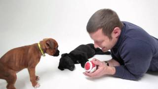 Dermot OLeary  Outtakes Dogs Trust [upl. by Aneda378]