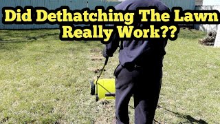 This Is Why You Should Dethatch Your Lawn Results From Spring Dethatching and Overseeding [upl. by Dyna]