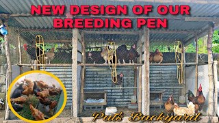 BREEDING PEN DESIGN FOR FREE RANGE CHICKEN  RHODE ISLAND RED BREEDERS  FREE RANGE FARMING [upl. by Nocaed]